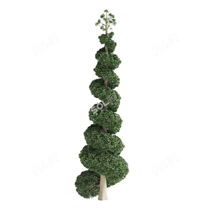 Pine Tree Set 3D Model 3D model image 4