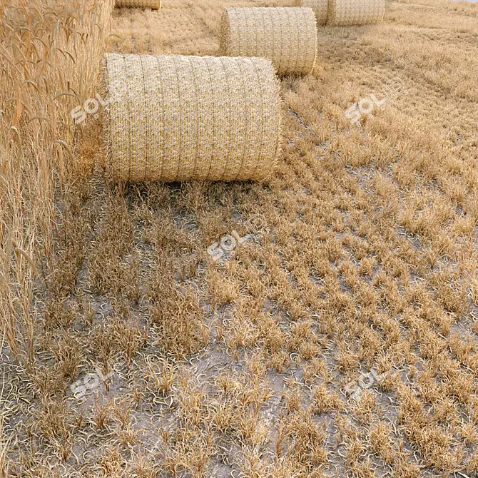 Premium Grass Hay Bale Models 3D model image 1