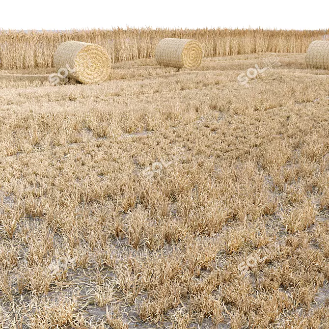 Premium Grass Hay Bale Models 3D model image 2