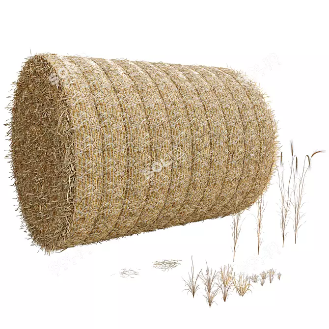 Premium Grass Hay Bale Models 3D model image 4
