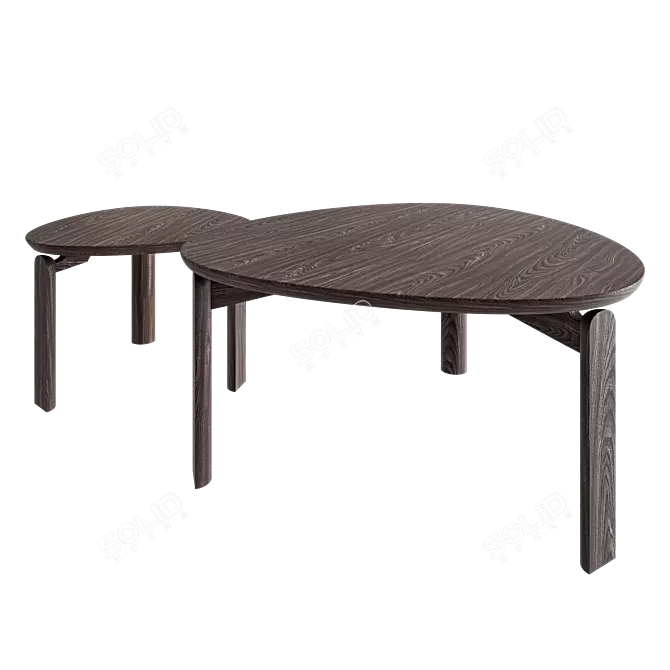 Solid Wood Coffee Table Set 3D model image 2