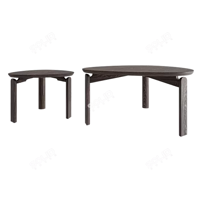 Solid Wood Coffee Table Set 3D model image 3