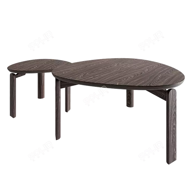 Solid Wood Coffee Table Set 3D model image 7