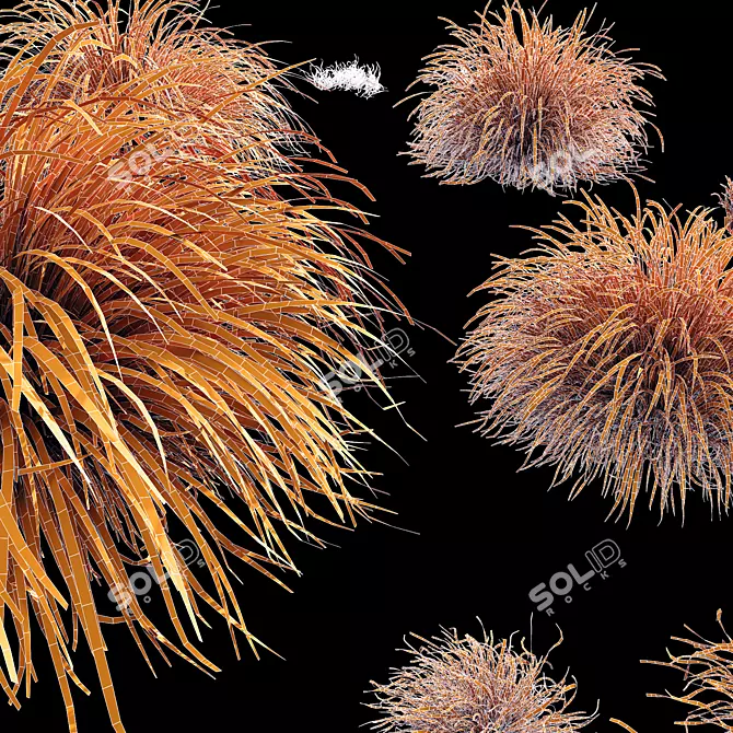 Golden Carex Grass 3D Models 3D model image 4