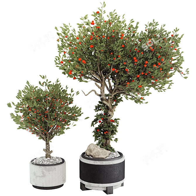 Compact Indoor Fruit Tree 218 3D model image 1