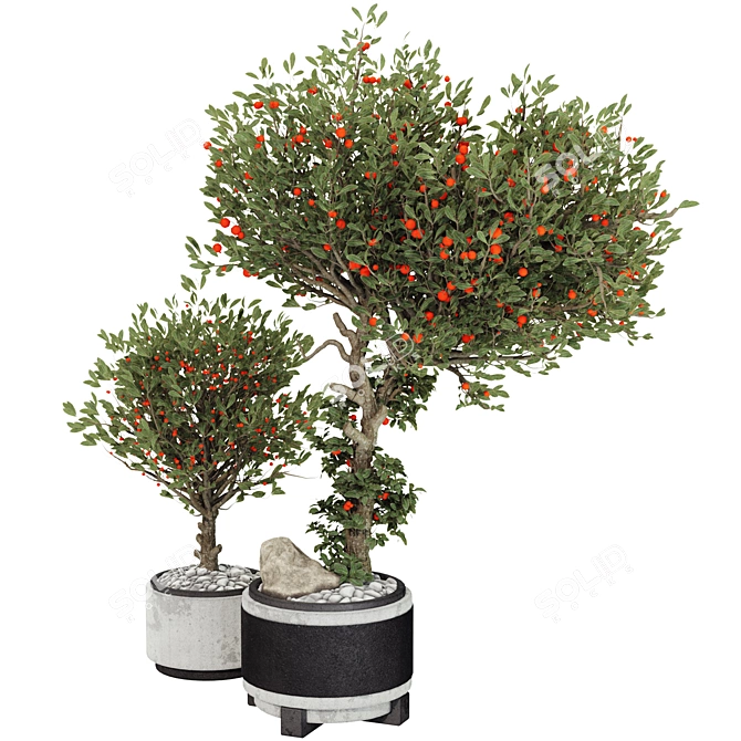 Compact Indoor Fruit Tree 218 3D model image 2