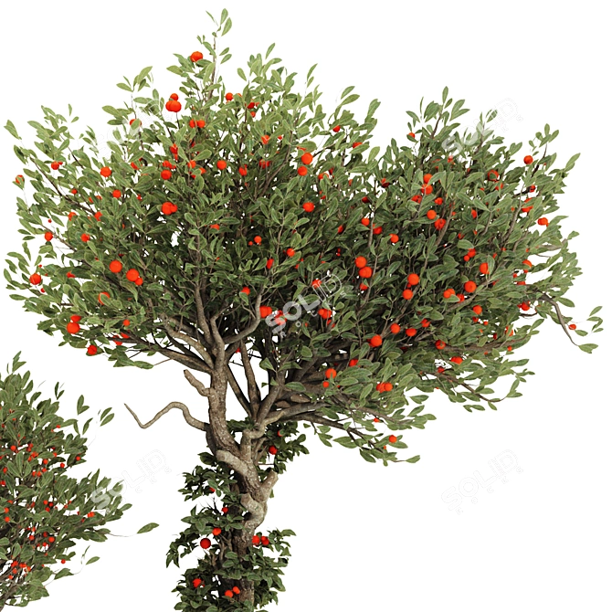 Compact Indoor Fruit Tree 218 3D model image 3