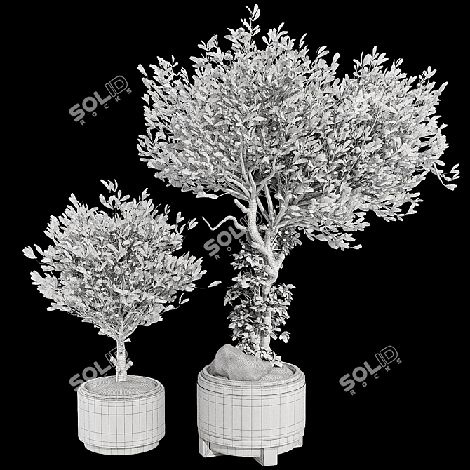 Compact Indoor Fruit Tree 218 3D model image 5