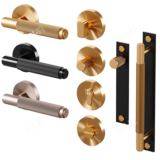 GOTHAM Brass Door Handle Set 3D model image 3