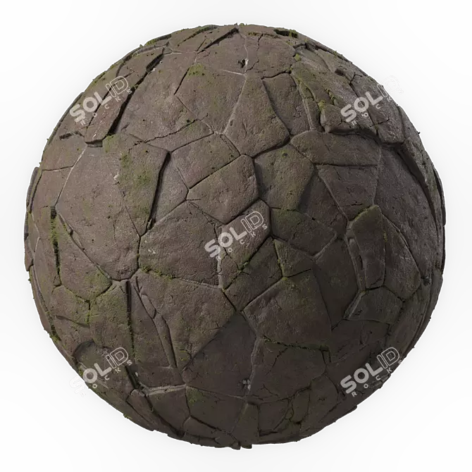 Brush Rock Stone Pavement Texture 3D model image 2