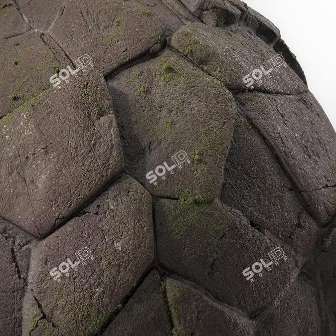 Brush Rock Stone Pavement Texture 3D model image 3