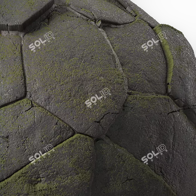 Brush Rock Stone Pavement Texture 3D model image 6