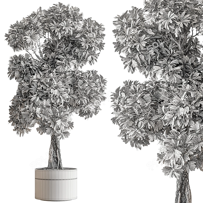 Decorative Tree Plant in Pot 3D model image 4