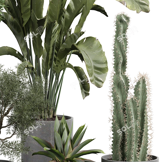 Interior Plant Decoration Life Giver 3D model image 3