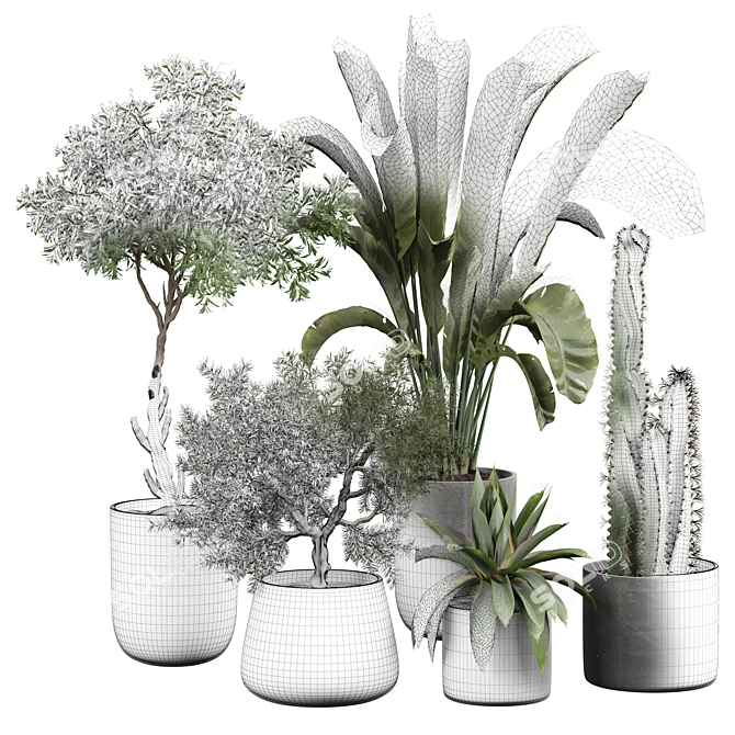 Interior Plant Decoration Life Giver 3D model image 4