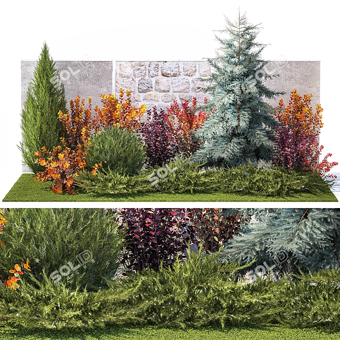 Collection of Large Plants: Thuja, Cypress, Blue Spruce 3D model image 1