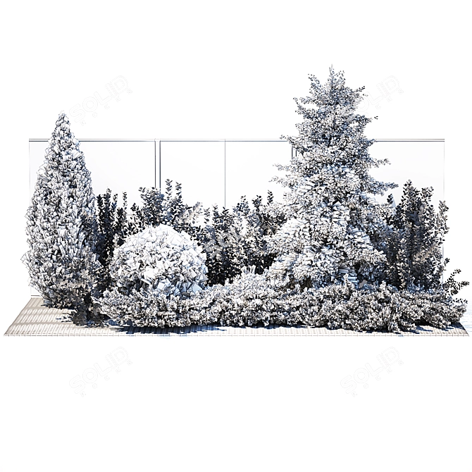 Collection of Large Plants: Thuja, Cypress, Blue Spruce 3D model image 7