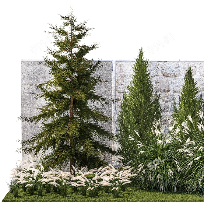 Large Specimen Plant Collection 3D model image 2