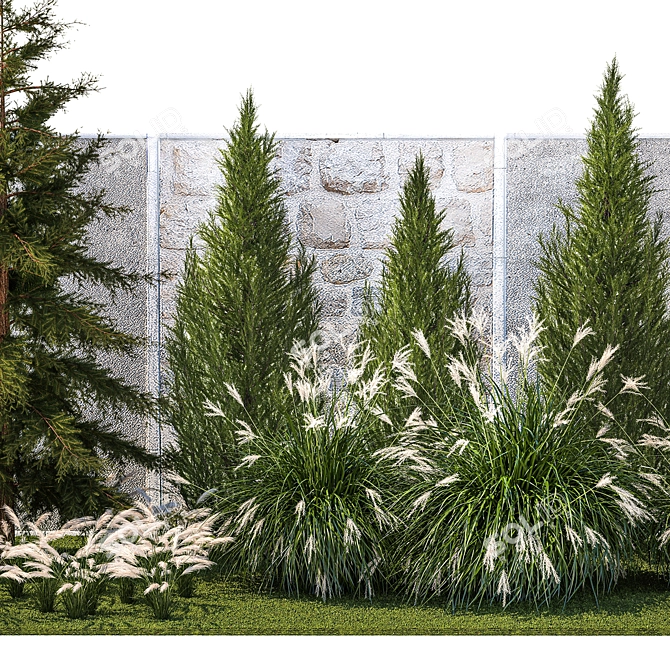 Large Specimen Plant Collection 3D model image 3