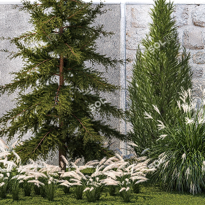 Large Specimen Plant Collection 3D model image 4