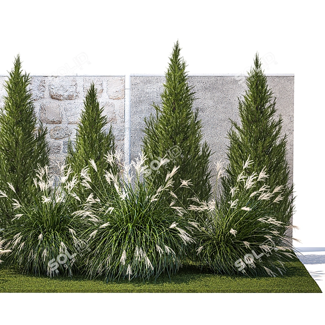 Large Specimen Plant Collection 3D model image 6