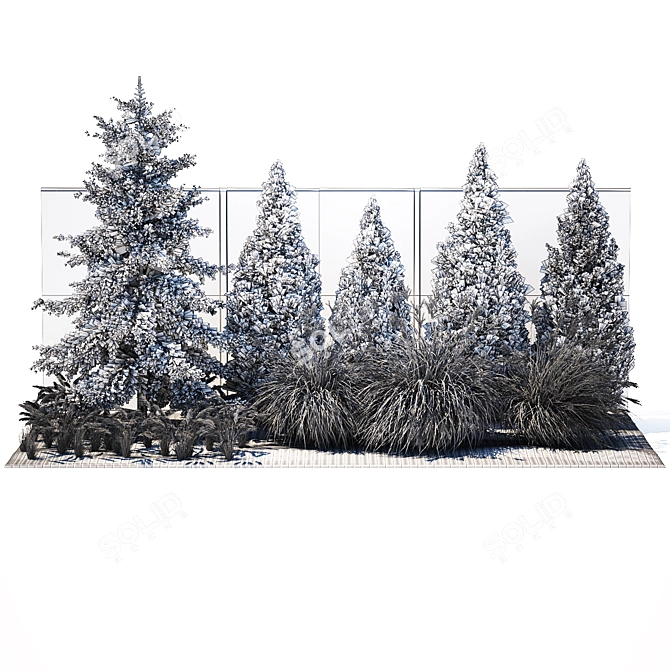 Large Specimen Plant Collection 3D model image 7