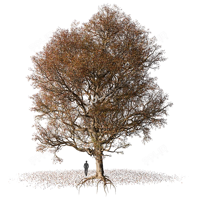 Autumn Tree with Fallen Leaves 3D model image 1