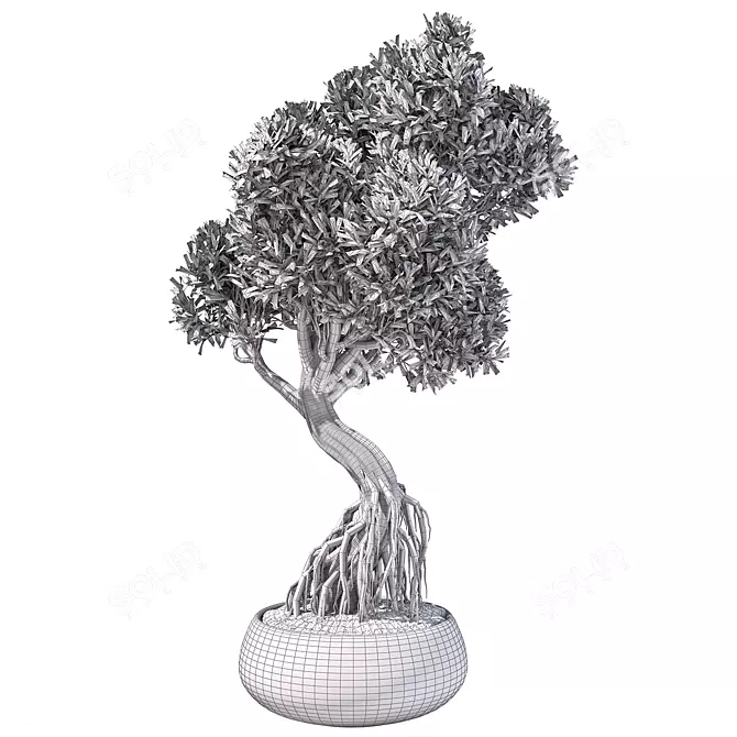 Chic Bonsai Indoor Plant 3D model image 5