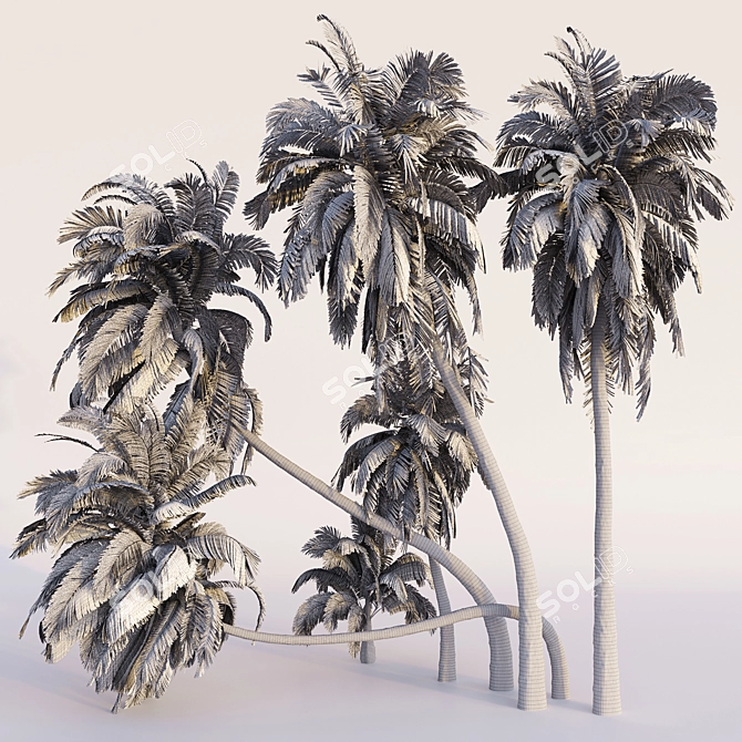 Coconut Palm Trees Set 3D model image 2