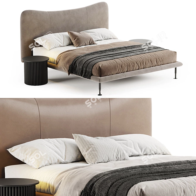 BAIA Leather Double Bed 3D model image 2