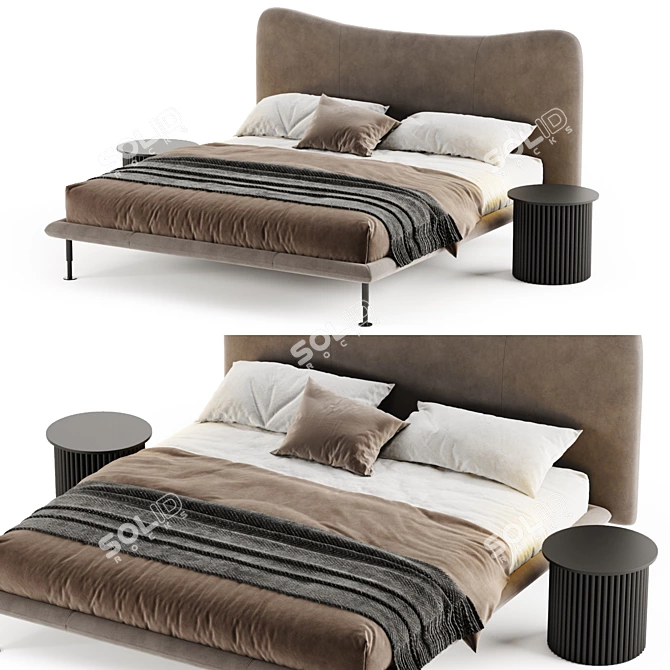 BAIA Leather Double Bed 3D model image 3