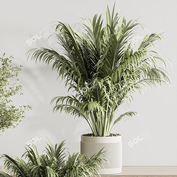 Vibrant Indoor Plant Arrangement 3D model image 6