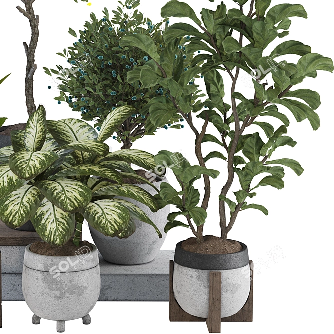 Tropical Indoor Plant Set Mesh 3D model image 4