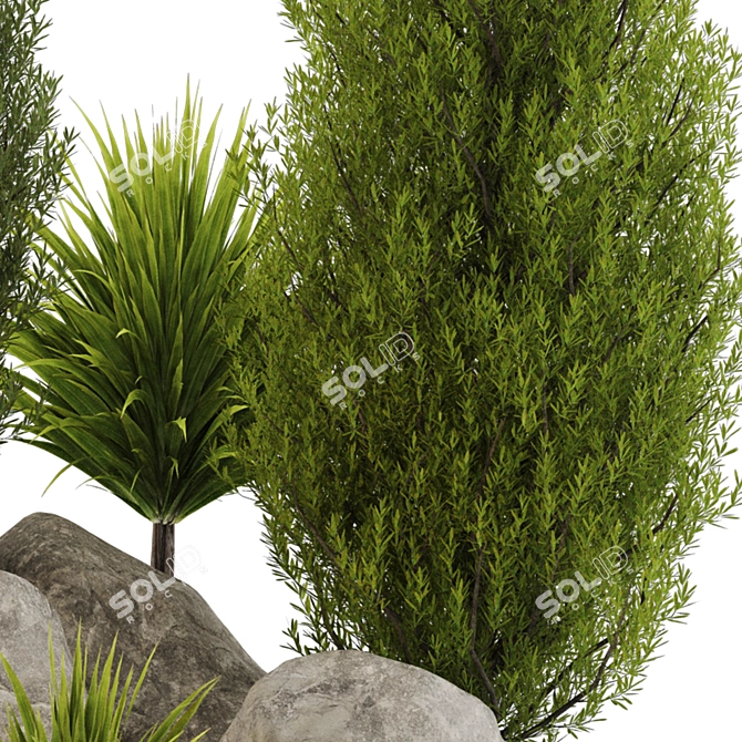 Landscaping Tree Bush OBJ Bundle 3D model image 5