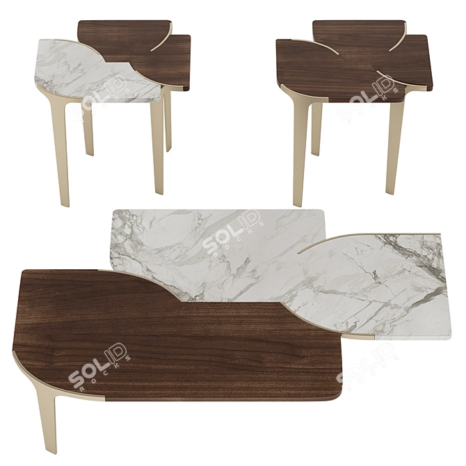 Luxury Soul Coffee Side Tables 3D model image 5