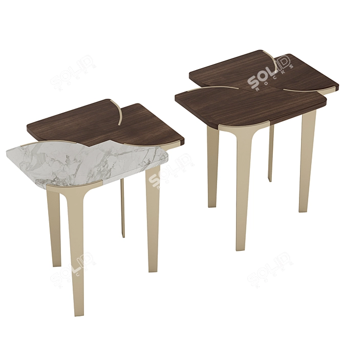 Luxury Soul Coffee Side Tables 3D model image 6