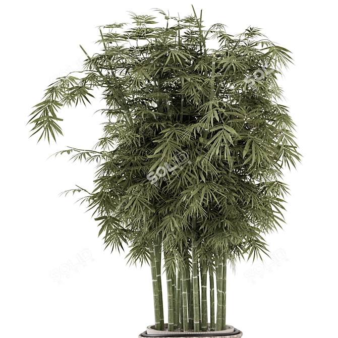 Bamboo Indoor Plants in Wicker Pots 3D model image 3