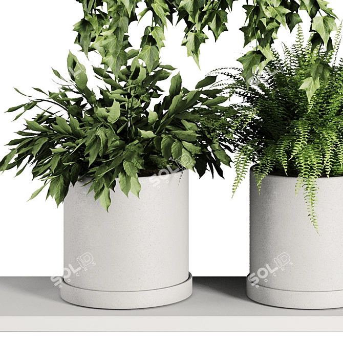 Botanical Bliss Shelf SetV7 3D model image 2