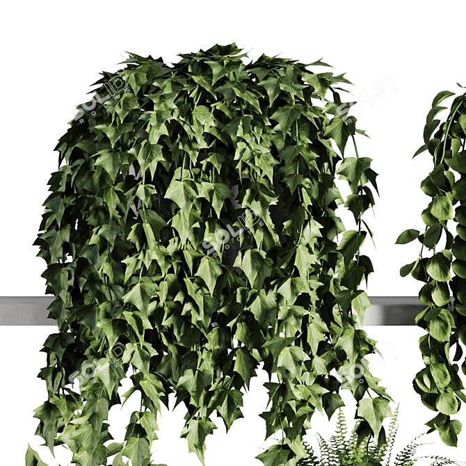 Botanical Bliss Shelf SetV7 3D model image 3