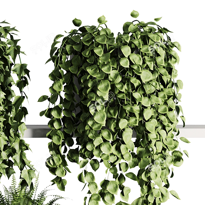 Botanical Bliss Shelf SetV7 3D model image 4