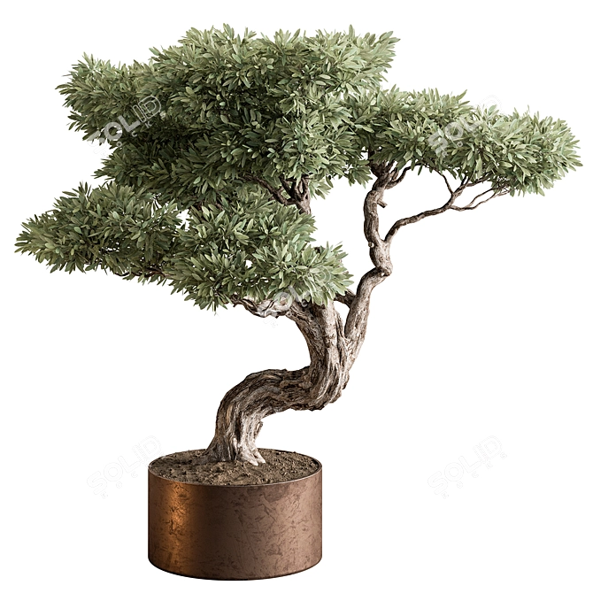 Bonsai Beauty: Indoor Plant Elegance 3D model image 1