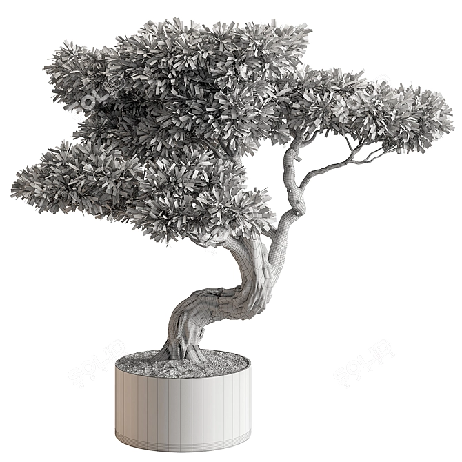 Bonsai Beauty: Indoor Plant Elegance 3D model image 4