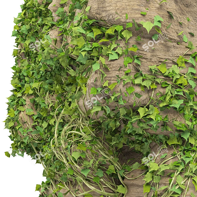 Vibrant Ivy-Covered Rock 3D Model 3D model image 2