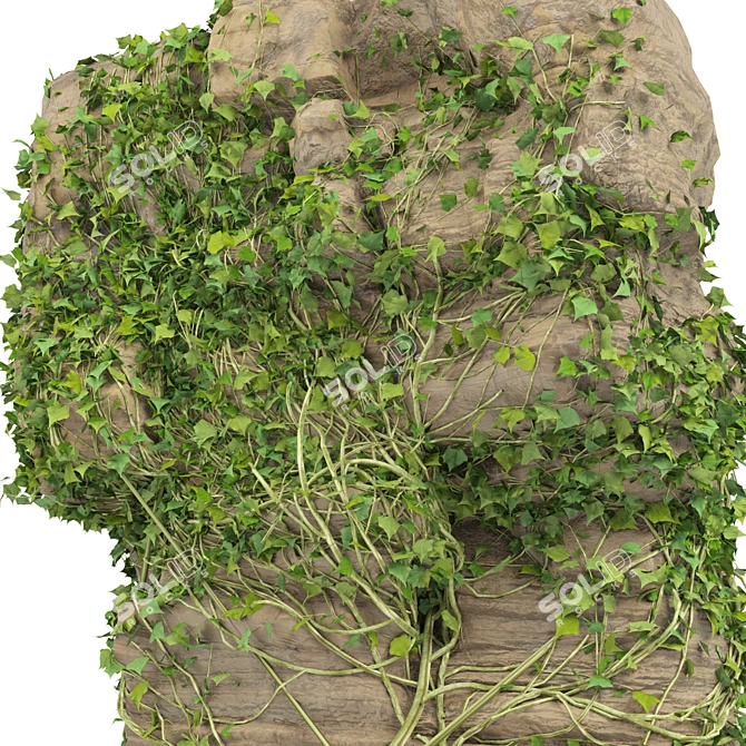 Vibrant Ivy-Covered Rock 3D Model 3D model image 3