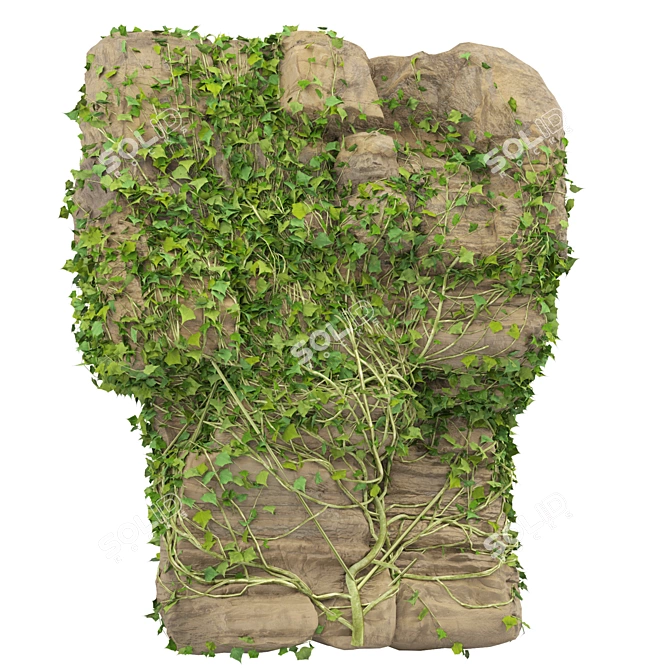 Vibrant Ivy-Covered Rock 3D Model 3D model image 4