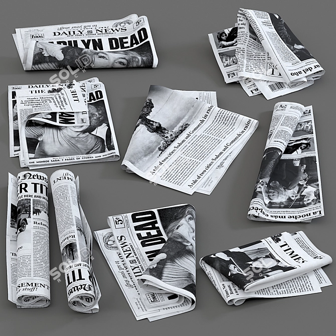  Assorted Newspaper Collection 3D model image 1
