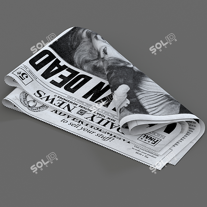  Assorted Newspaper Collection 3D model image 4