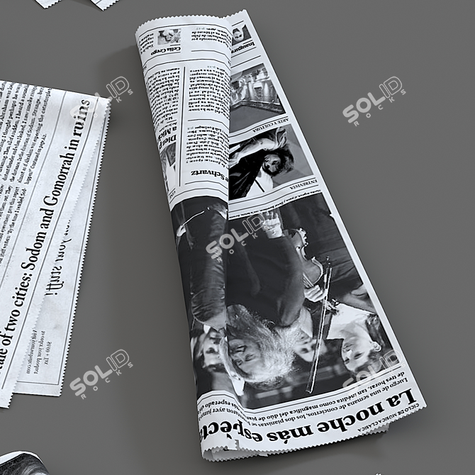  Assorted Newspaper Collection 3D model image 5