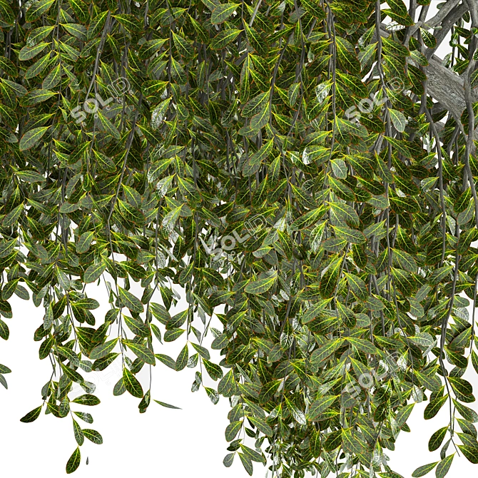 Enchanted Weeping Tree 3D Model 3D model image 6