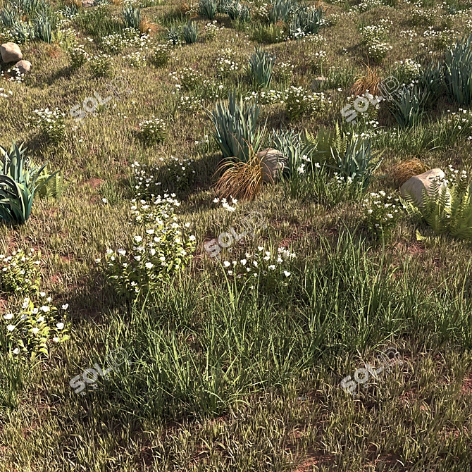 ChaosScatter Field Herbs Collection 3D model image 7